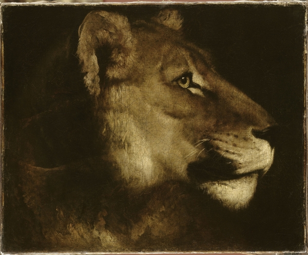 Théodore Gericault, Tête de lionne, 1819