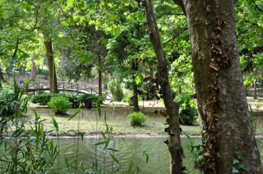 <p>La for&ecirc;t luxuriante,v&eacute;ritable embl&egrave;me de la vall&eacute;e du Douro.</p>