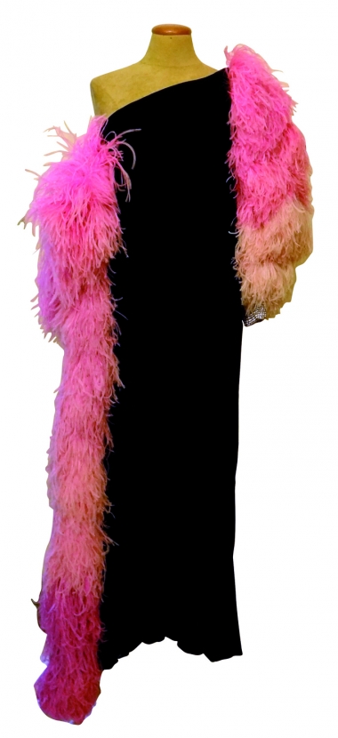 <p>&nbsp;Ted Lapidus d'apr&egrave;s Ert&eacute;</p>
<p>Robe longue de sc&egrave;ne en velours noir, manches de plumes rose shocking.</p>