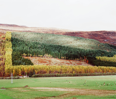 Modern Safari, chapitre Ecosse 2006