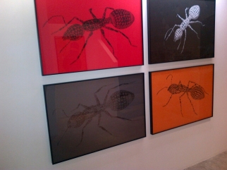 Peter Kogler,  JGM Galerie 